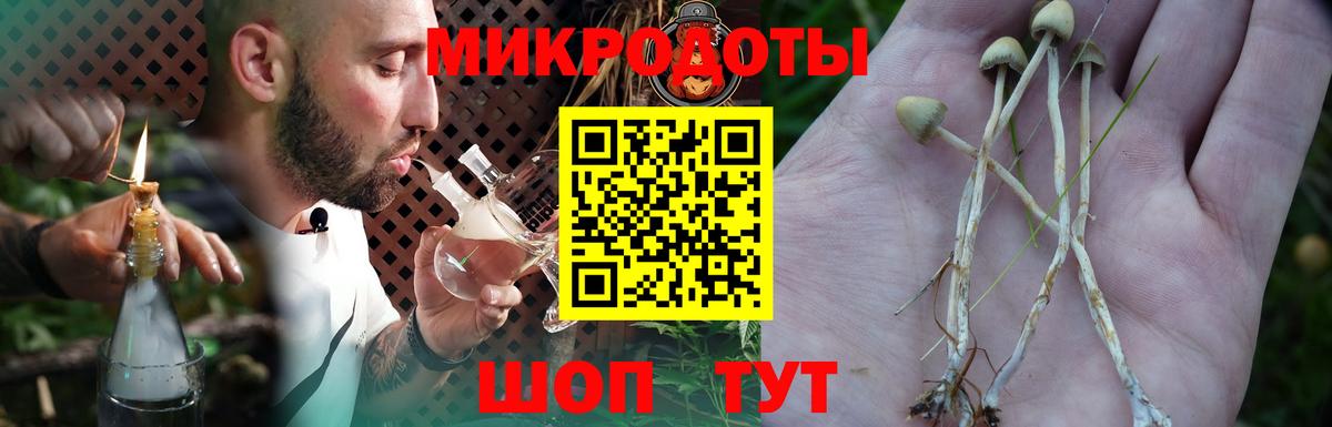Псилоцибиновые грибы прущие грибы  Вход с VPN  Златоуст 